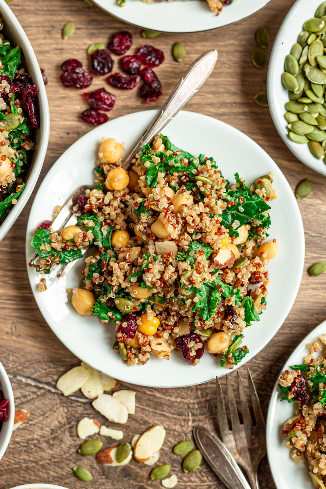 Quinoa Chickpea Salad with Cranberries